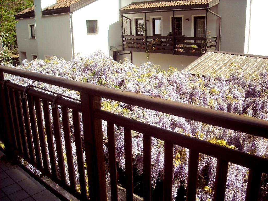 Hotel Faedo Pineta 部屋 写真