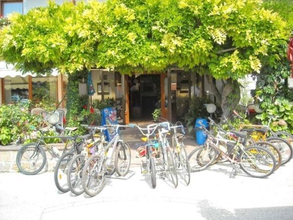 Hotel Faedo Pineta 部屋 写真