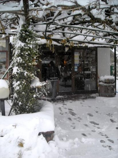 Hotel Faedo Pineta 部屋 写真
