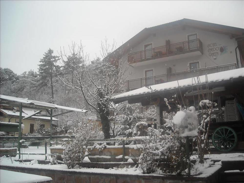Hotel Faedo Pineta エクステリア 写真
